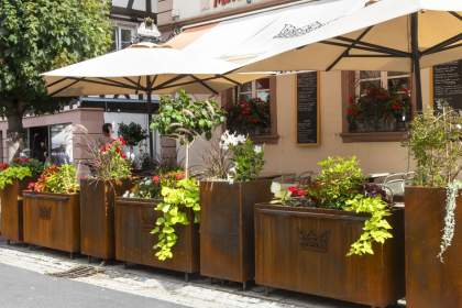 Terrasse du restaurant avec plantes et fleurs