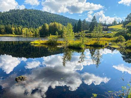 Parc naturel des vosges du nord