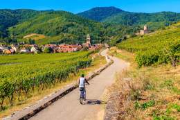 Route des vins en alsace